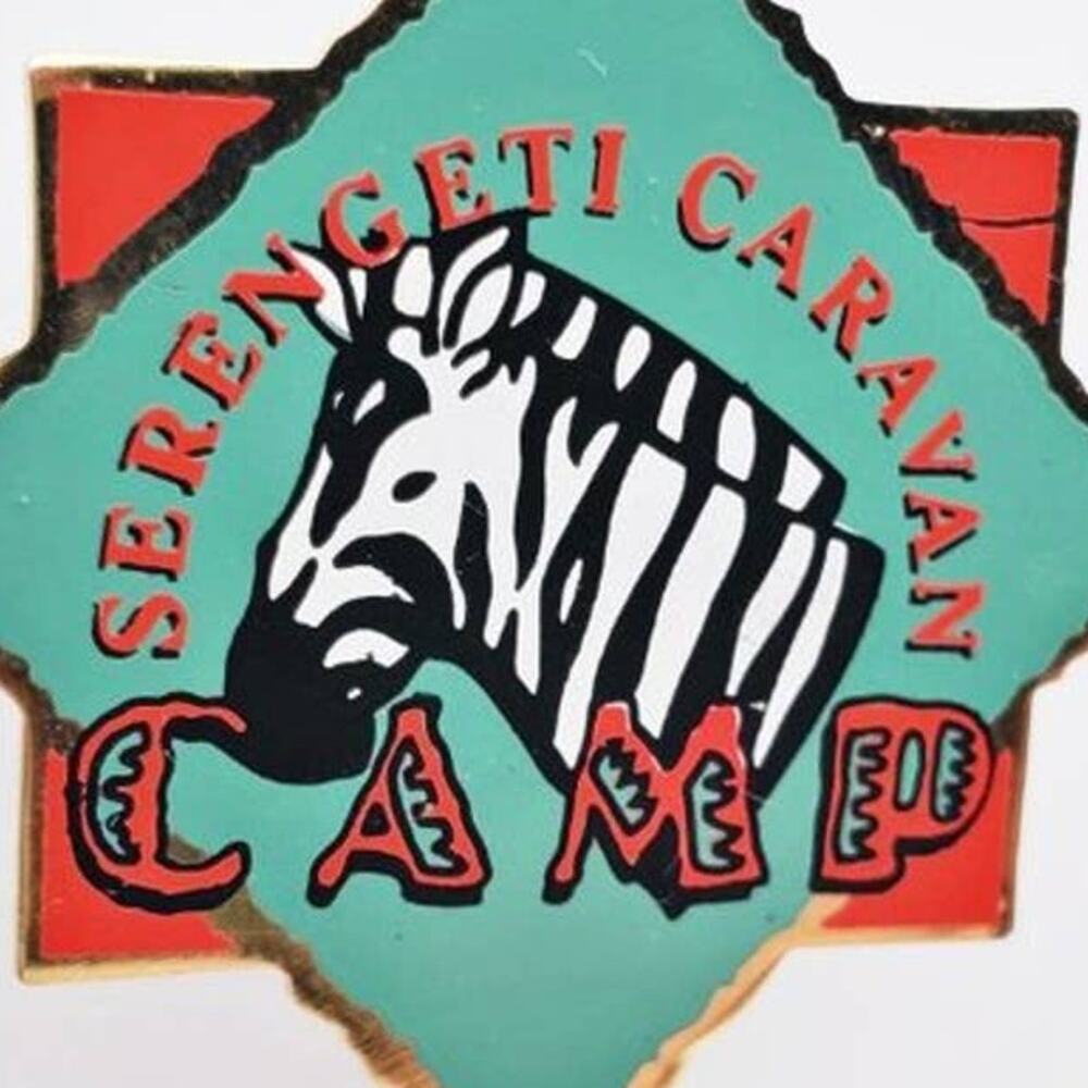 Disney Serengeti Caravan Camp Zebra Pin - Picture 2 of 6